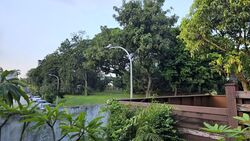 Tai Hwan Garden (D19), Terrace #568919521